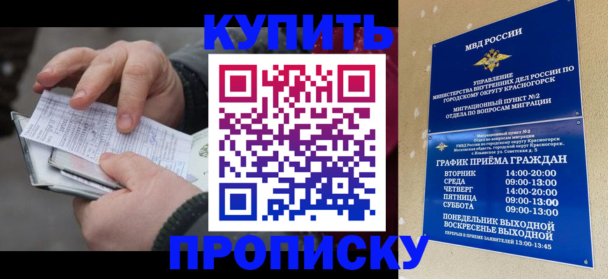 временная регистрация недорого в Искитиме